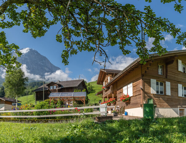 Chalet Grindelwald Ferienunterkunft